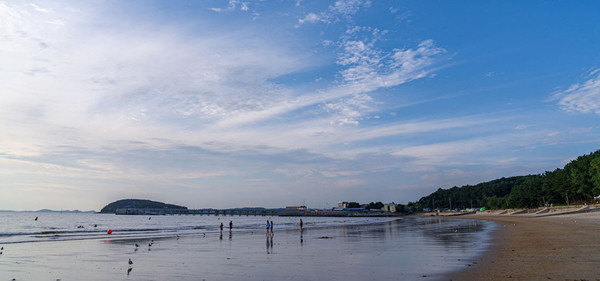 용두해수욕장 전경. [보령시 제공]