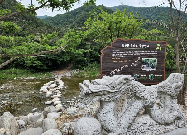 얼음굴 등산로. [양양군 제공]