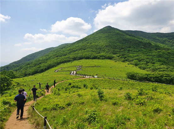 점봉산 곰배령 산림생태탐방로. [북부지방산림청 제공]