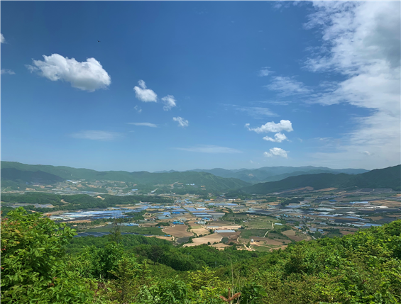 해안면(민북) 펀치볼 둘레 환형태의 산림보호구역. [북부지방산림청 제공]