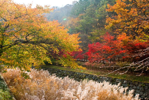 성주산. [보령시 제공]