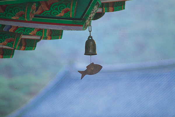 [이미지투데이 제공]