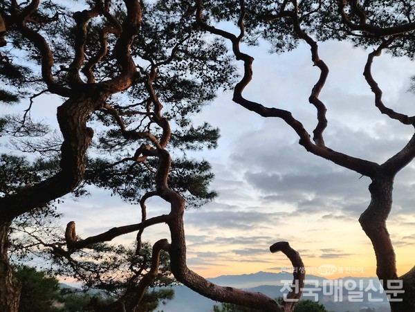 전남 보성군 복내면 당촌리에 전남도 민속문화재 제34호로 지정된 별신당과 천인정이 함께 자리하고 있다.