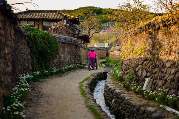 담양 삼지내마을. [전남도 제공]