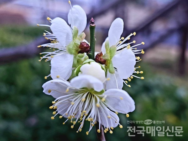 전남지역이 18일 오후 포근한 4월의 봄 날씨 기온을 보이며 현재 흐린 날씨를 보이고 있다.