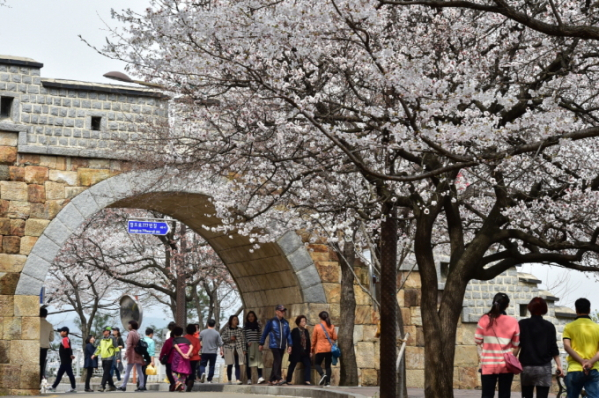 팔달산. [수원시 제공] 