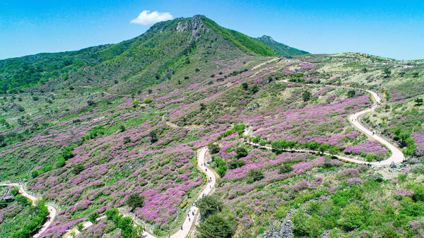 산청 황매산 무장애길. [산청군 제공]