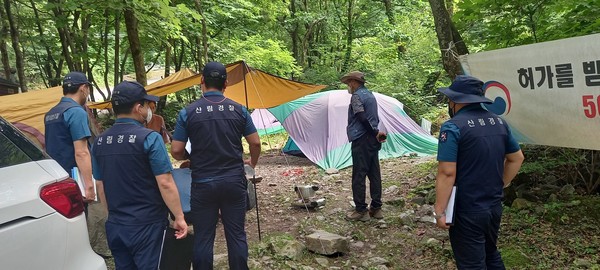 [산림청 제공]