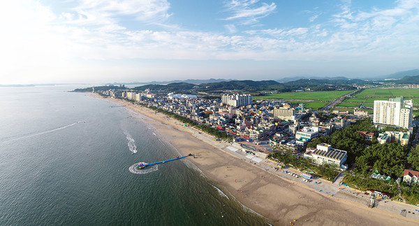 대천해수욕장 전경. [보령시 제공]