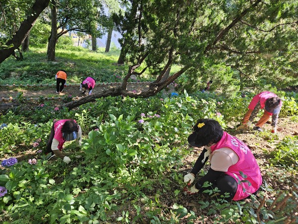 좌천동 새마을부녀회가 좌천체육공원에서 환경정비를 하고있다. [부산 동구 제공]