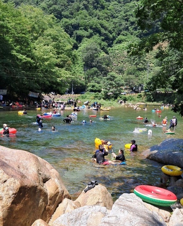 화개 계곡. [하동군 제공]