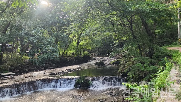 맑은 물이 흐르는 태안사 계곡의 풍경.