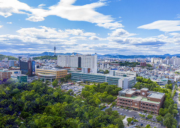 [영남대병원 제공]