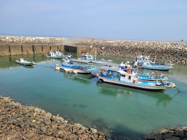 저조시에 바라본 방아머리항 전경 모습. [안산시 제공]