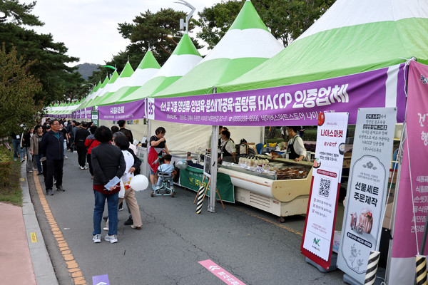 김해시가 가야고분군 유네스코 세계유산 등재 1주년 기념 개최한 2024 세계유산 가야문화축제가 성황리 막을 내렸다. [김해시 제공]