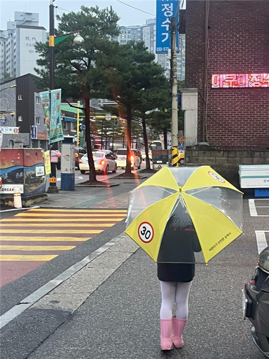 초등학생 대상으로 배부된 교통안전 물품 투명·형광 우산. [삼척시 제공]